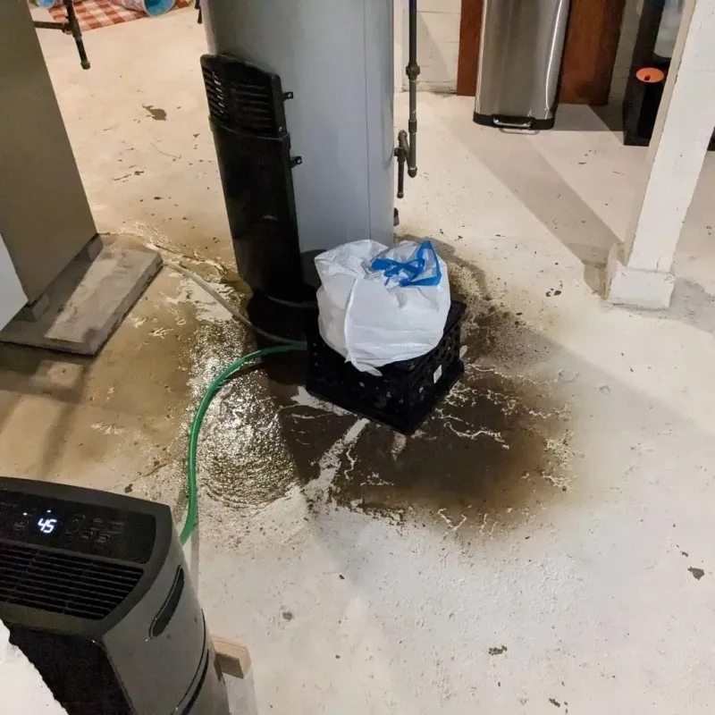 Sewage Backup Cleanup Service in Adamstown, MD